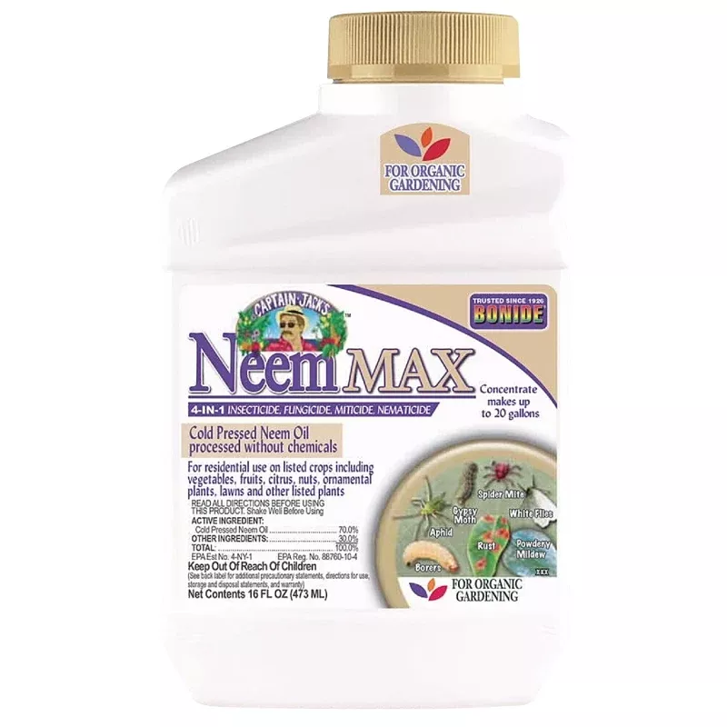 026 OIL NEEM COLD PRESSED PINT